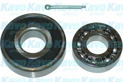 KAVO PARTS wbk1504 -  Комплект подшипника ступицы колеса